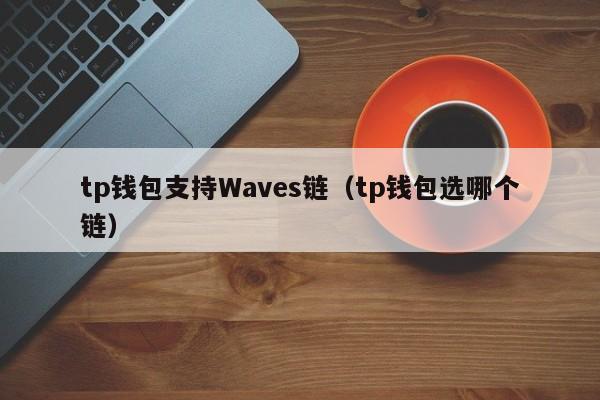 tp钱包支持Waves链（tp钱包选哪个链）