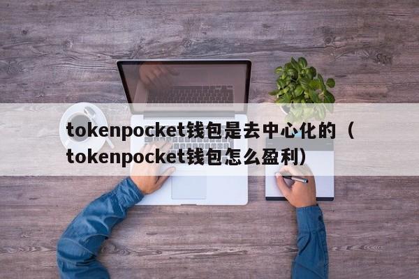 tokenpocket钱包是去中心化的（tokenpocket钱包怎么盈利）