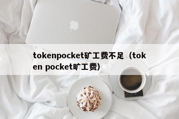 tokenpocket矿工费不足（token pocket旷工费）