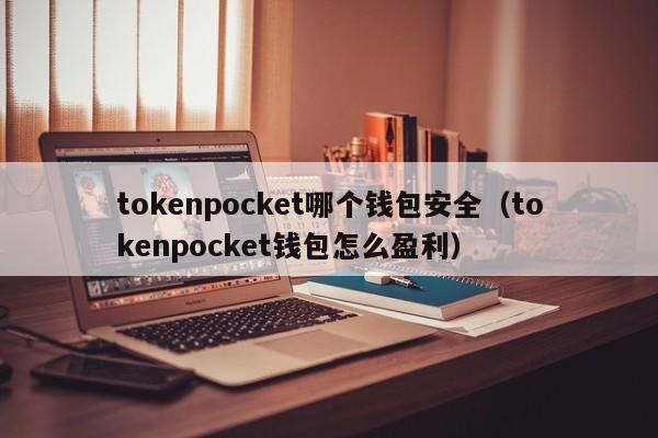tokenpocket哪个钱包安全（tokenpocket钱包怎么盈利）