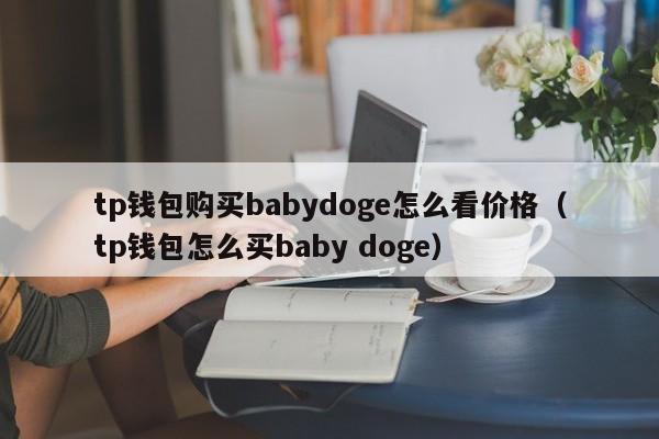 tp钱包购买babydoge怎么看价格（tp钱包怎么买baby doge）