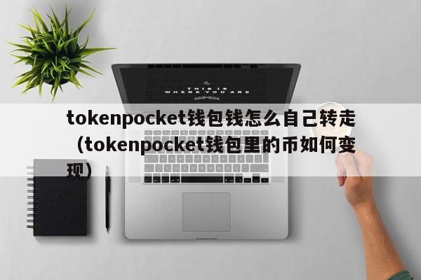tokenpocket钱包钱怎么自己转走（tokenpocket钱包里的币如何变现）