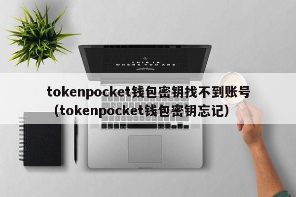 tokenpocket钱包密钥找不到账号（tokenpocket钱包密钥忘记）