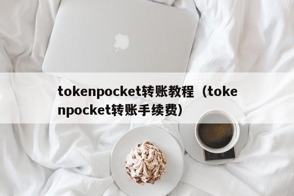 tokenpocket转账教程（tokenpocket转账手续费）