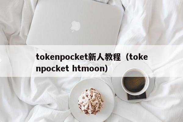 tokenpocket新人教程（tokenpocket htmoon）