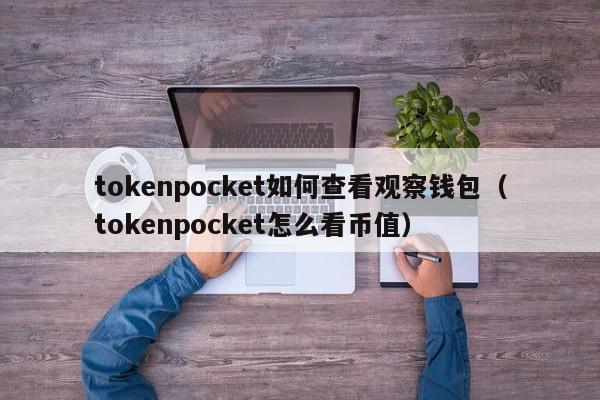tokenpocket如何查看观察钱包（tokenpocket怎么看币值）